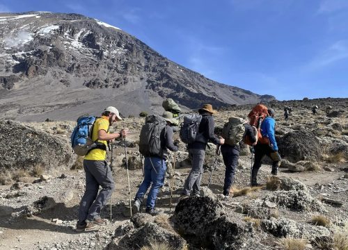 5 Days Trekking Marangu Route
