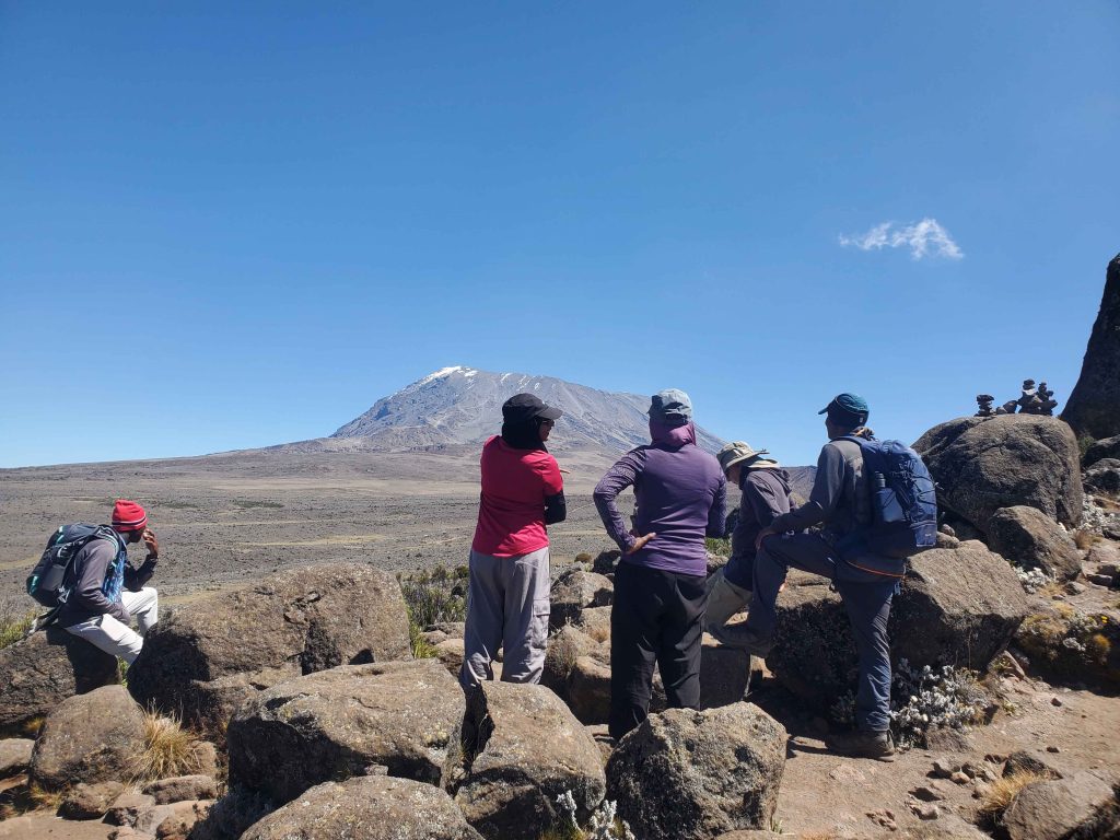 8 Days Trekking Lemosho Route