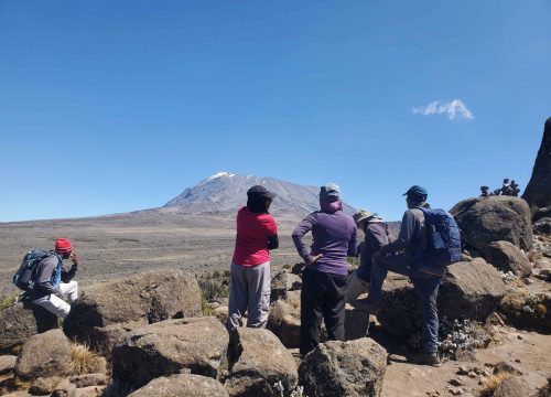 8 Days Trekking Lemosho Route