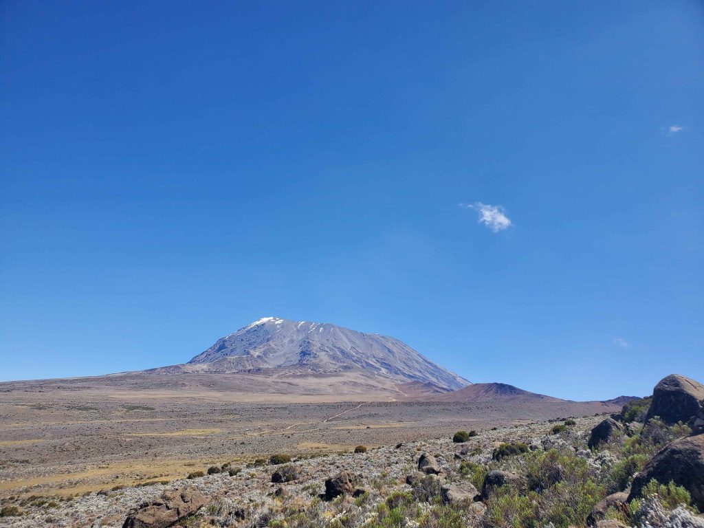 7 Days Trekking Lemosho Route