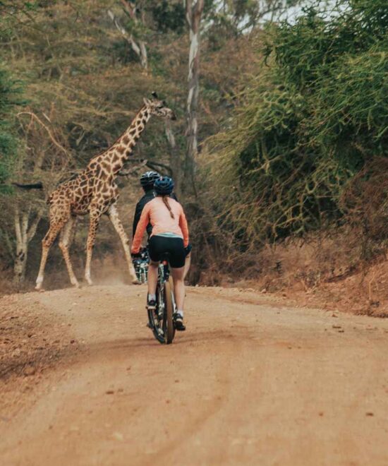 7-Day Summit of Kilimanjaro by Bike