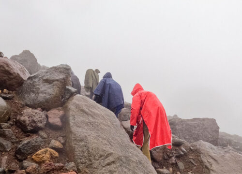 7 Days Trekking Rongai Route